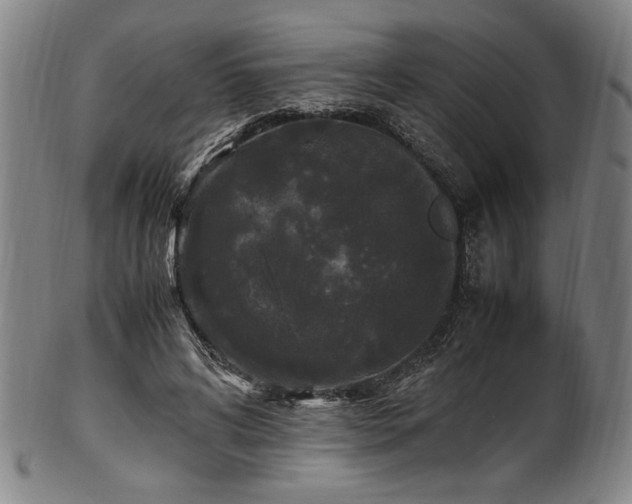 X0000100350592200806061116