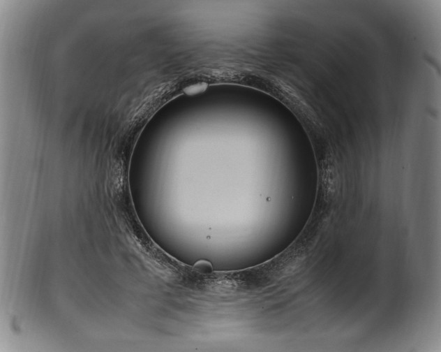 X0000100350593200806061116