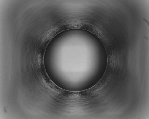 X0000100350594200806061116