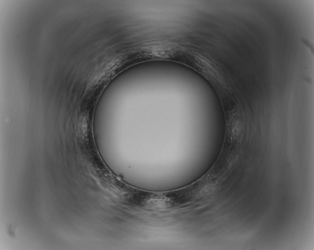 X0000100350595200806061116