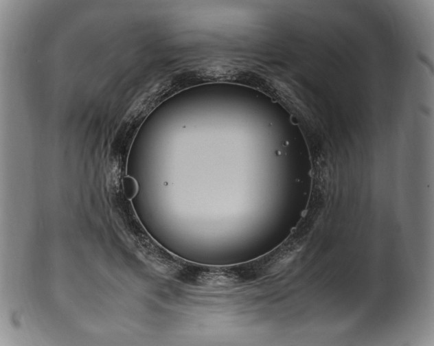 X0000100350597200806061116