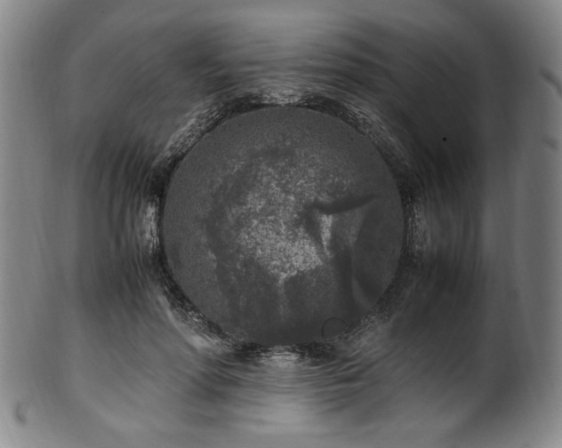 X0000100350598200806061116