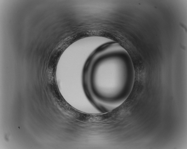 X0000100350599200806061116