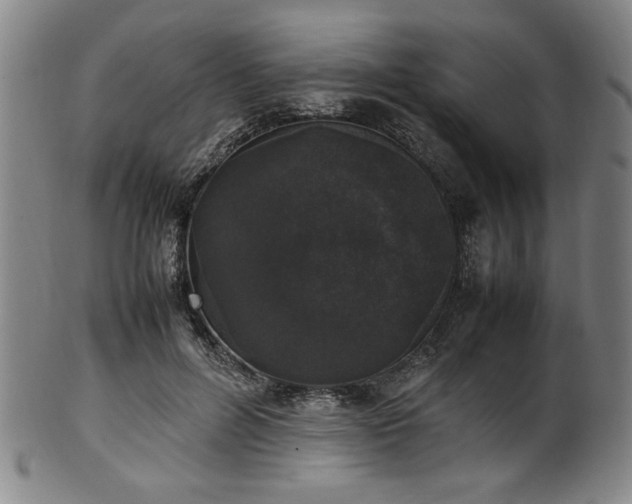 X0000100350600200806061116