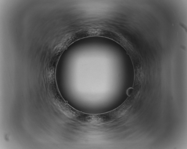 X0000100350601200806061116