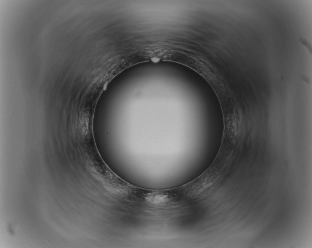 X0000100350602200806061116