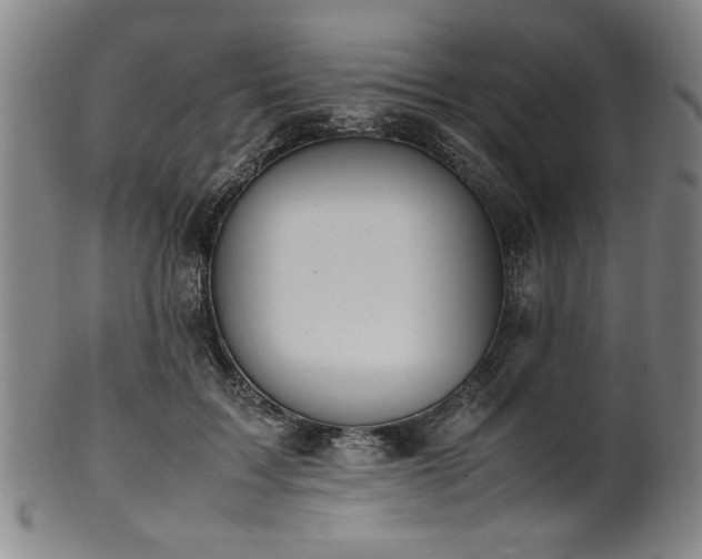 X0000100350603200806061116