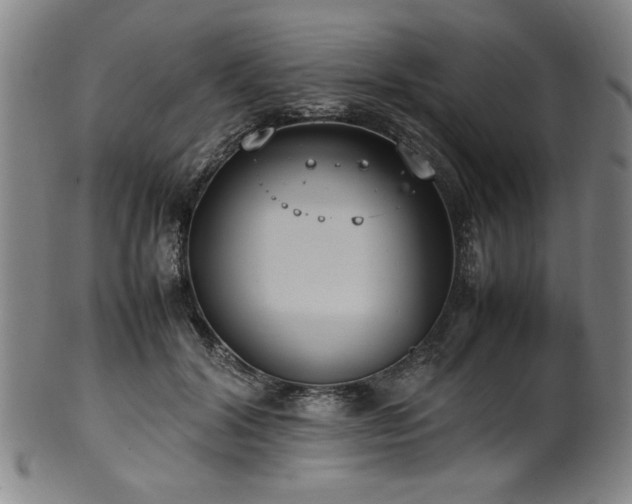 X0000100350604200806061116