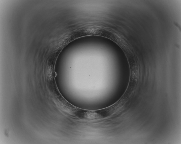 X0000100350605200806061116