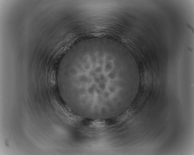 X0000100350606200806061116