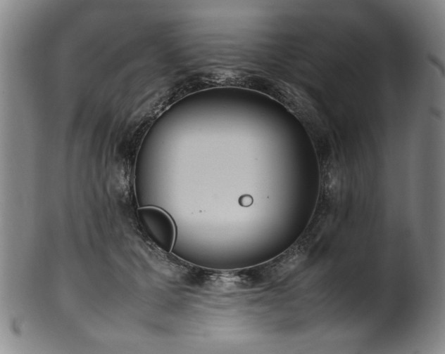 X0000100350607200806061116