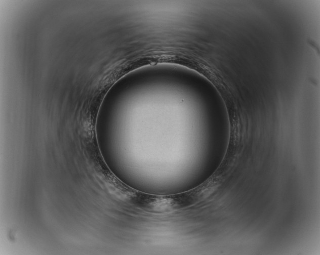 X0000100350609200806061116