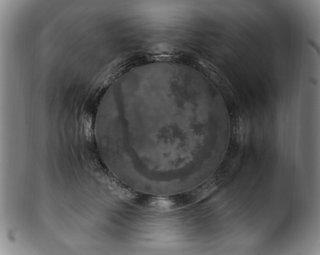 X0000100350610200806061116