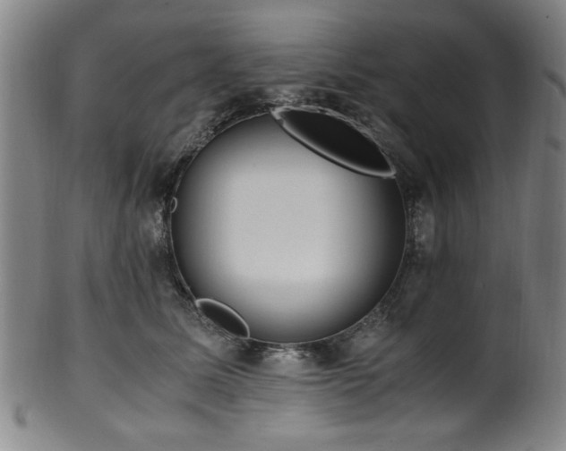 X0000100350611200806061116