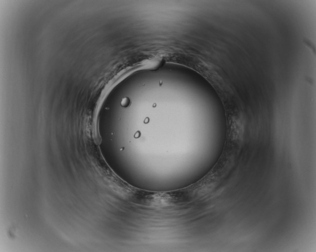 X0000100350612200806061116