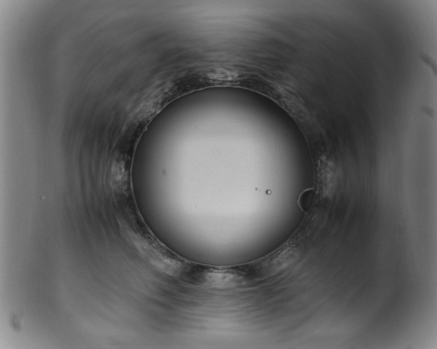 X0000100350614200806061116