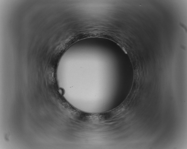 X0000100350615200806061116