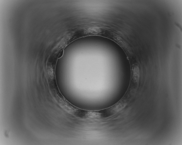 X0000100350617200806061116