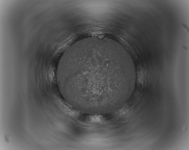 X0000100350618200806061116