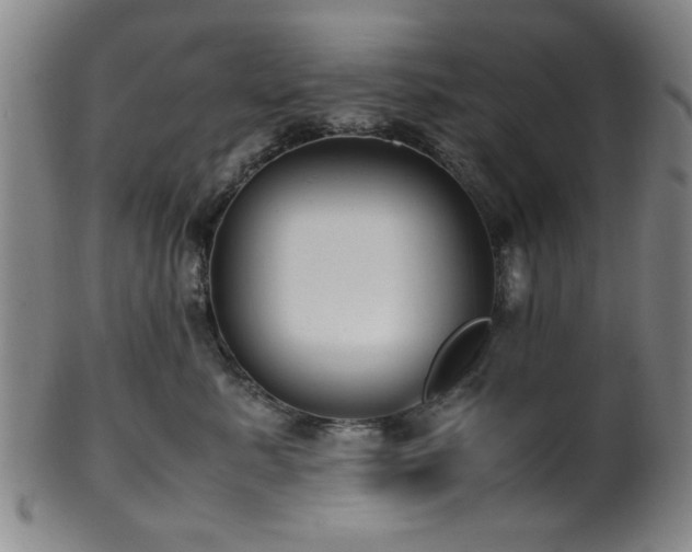 X0000100350619200806061115