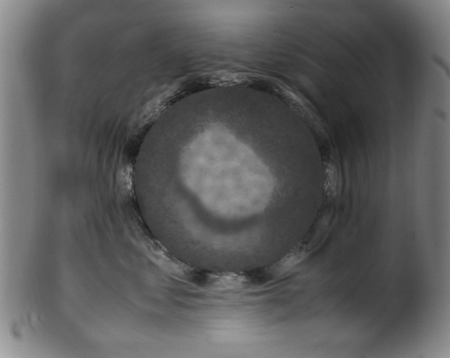 X0000100350621200806061115
