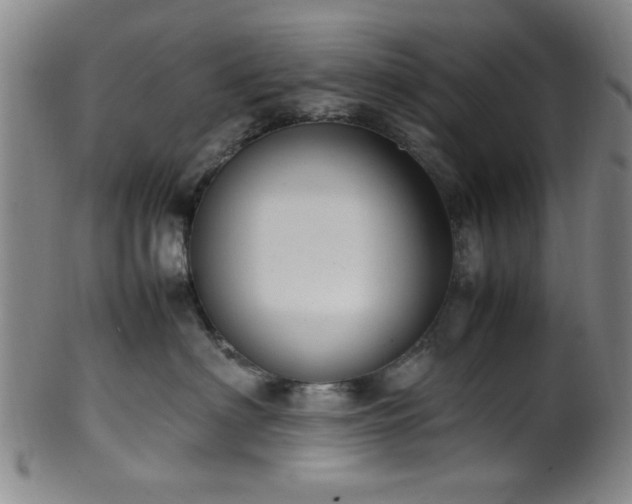 X0000100350622200806061115