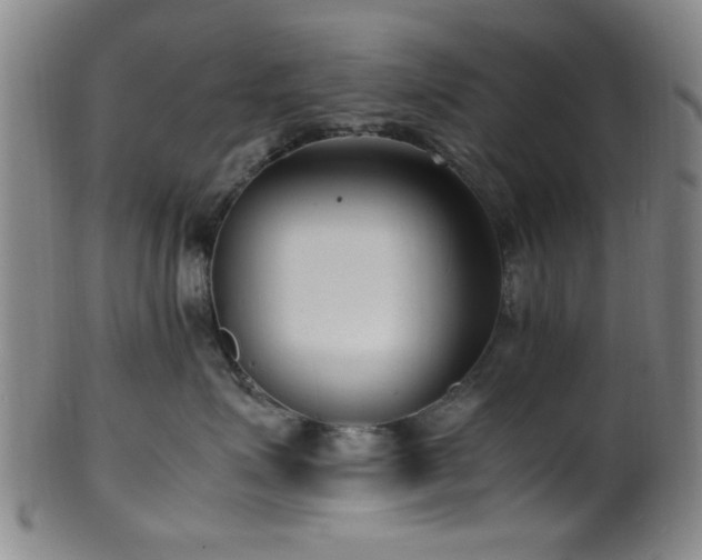X0000100350623200806061115