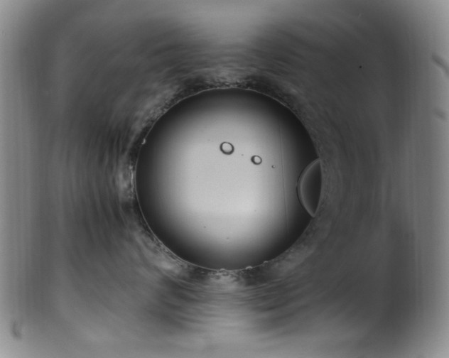 X0000100350624200806061115