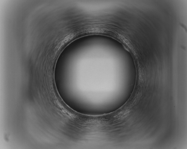 X0000100350625200806061115