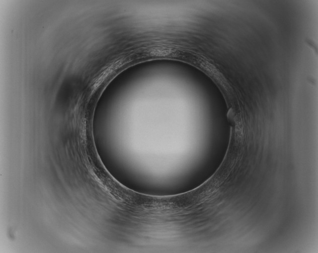 X0000100350626200806061115