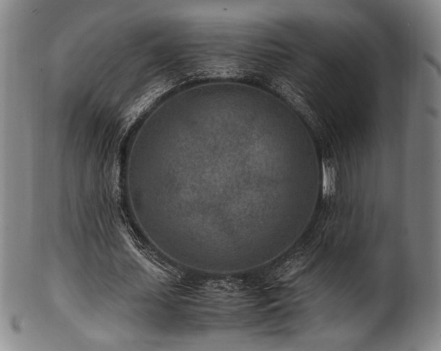 X0000100350627200806061115