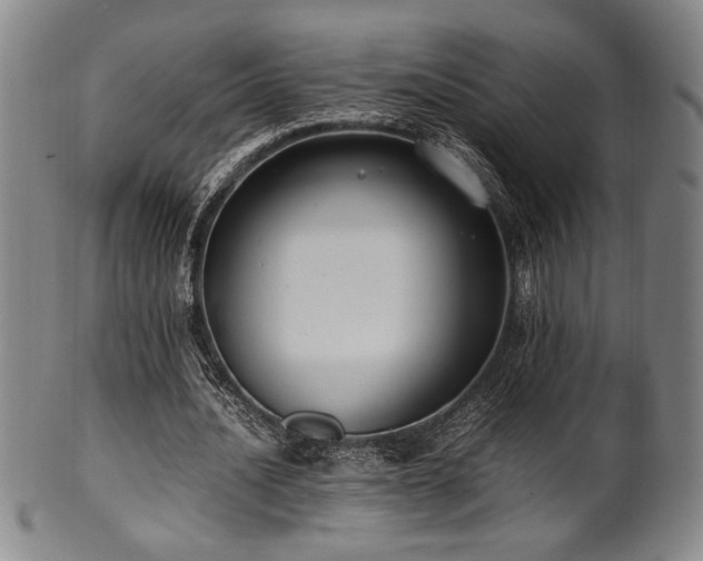X0000100350628200806061115
