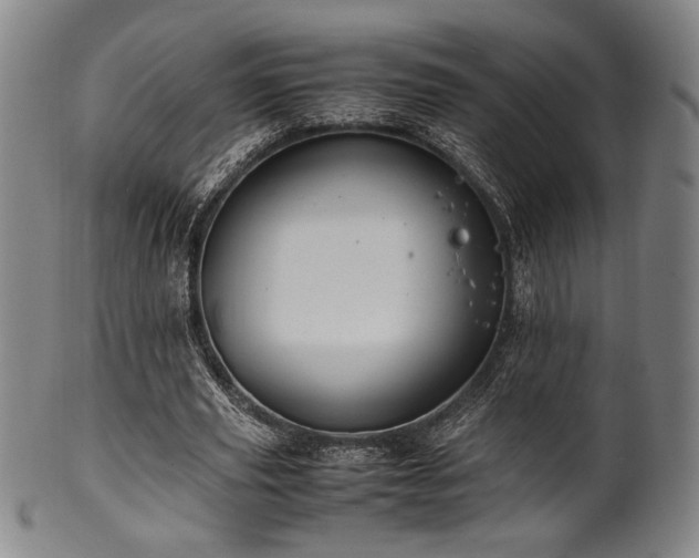 X0000100350629200806061115