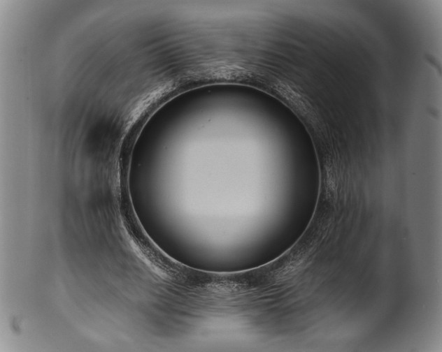 X0000100350630200806061115