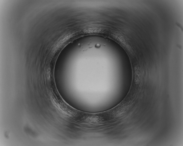 X0000100350631200806061115