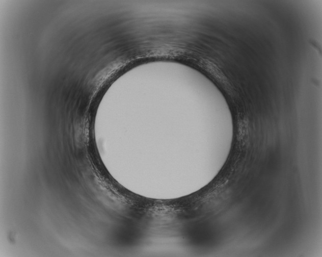 X0000100350632200806061115