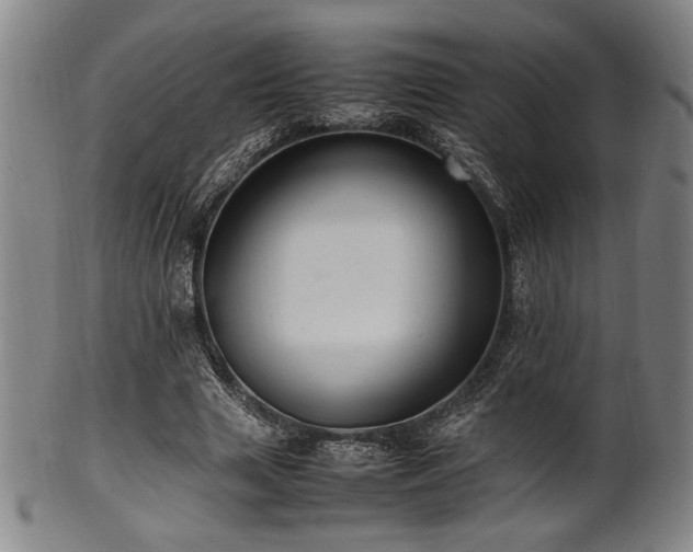 X0000100350633200806061115