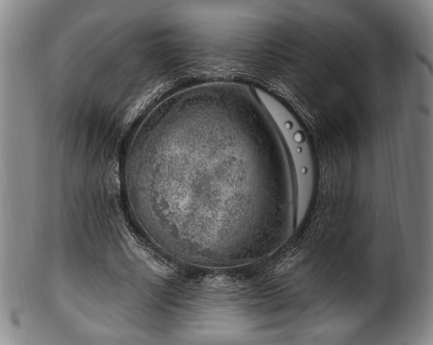 X0000100350634200806061115