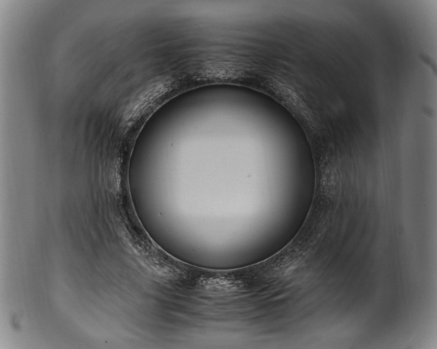 X0000100350635200806061115