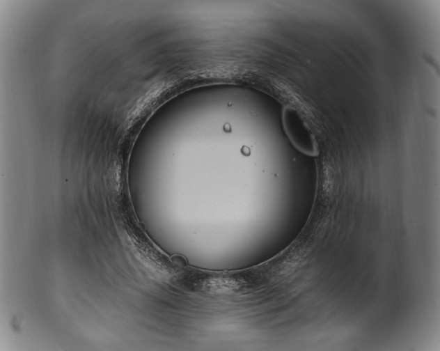 X0000100350636200806061115