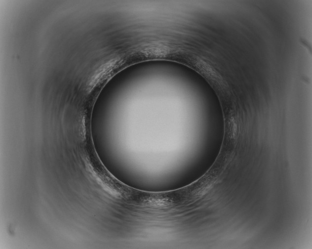 X0000100350638200806061115