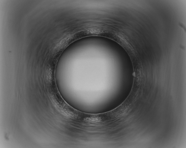 X0000100350639200806061115