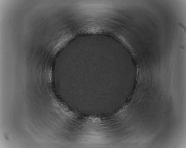 X0000100350640200806061115