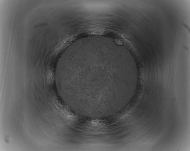 X0000100350641200806061115