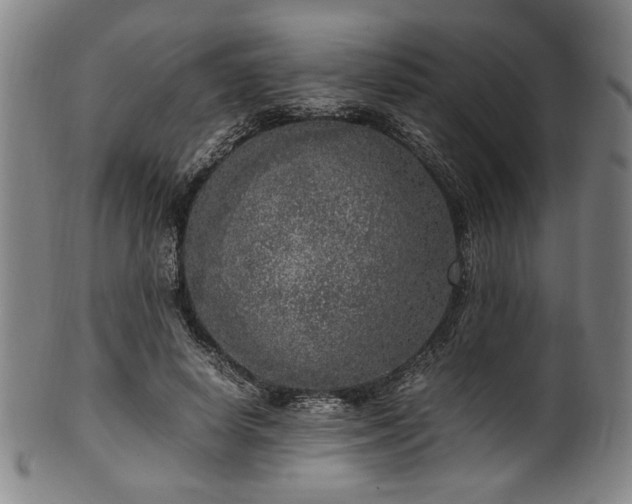X0000100350642200806061115