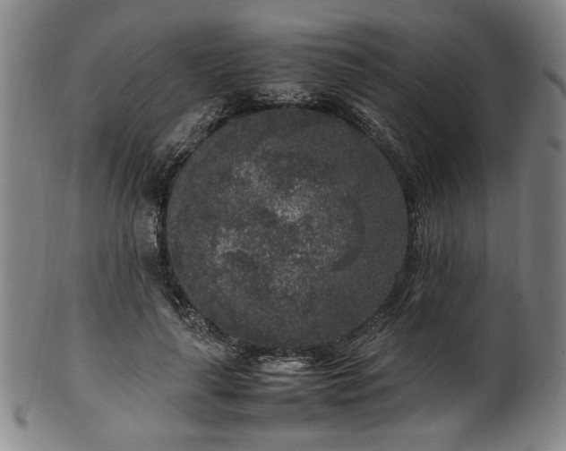 X0000100350643200806061115