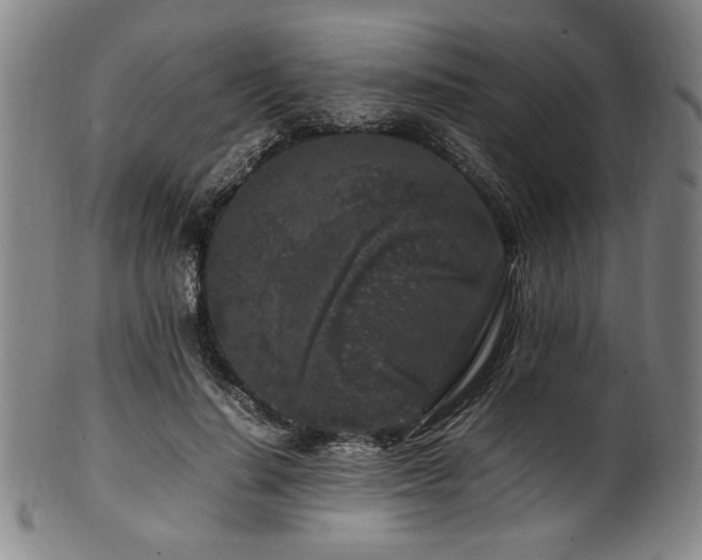 X0000100350644200806061115