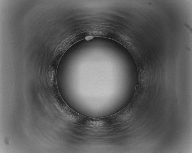 X0000100350645200806061115