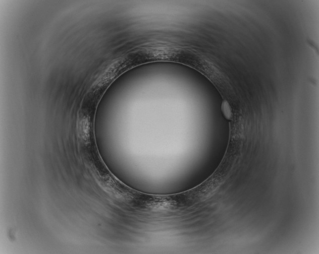 X0000100350646200806061115