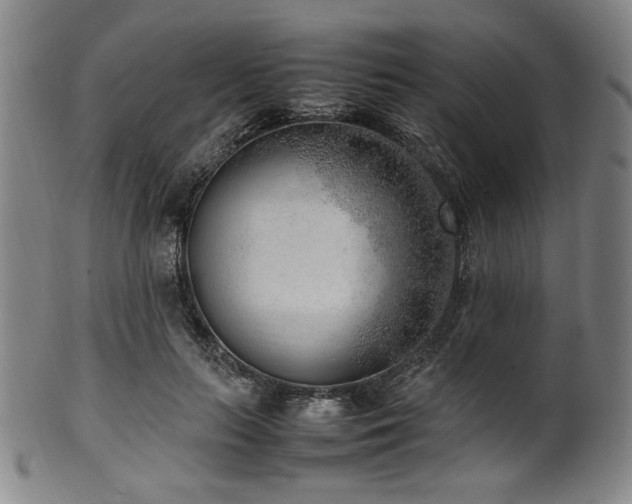X0000100350647200806061115
